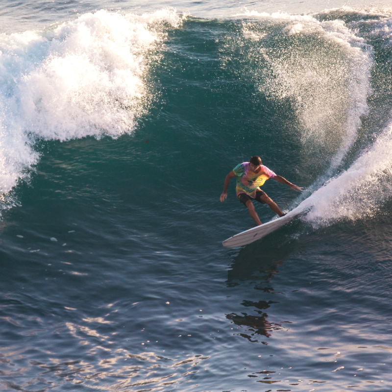 Mid Length Cosmic Twin Fin Glide