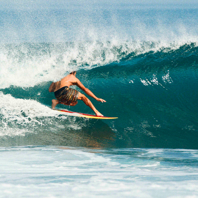 Sea Gypsy Mid-Length Single Fin + Sides